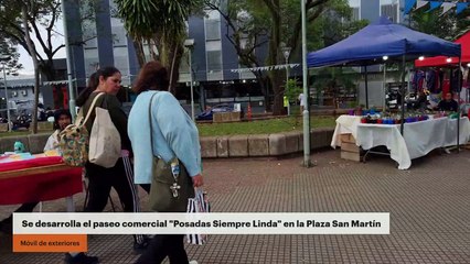Se desarrolla el paseo comercial "Posadas siempre linda" en la plaza  San Martin