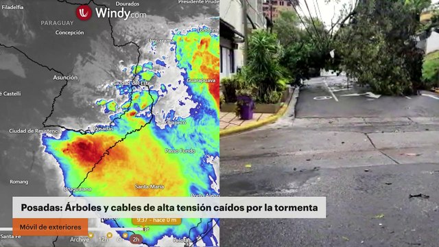 La tormenta causó destrozos en Posadas