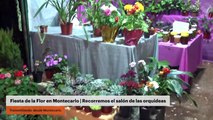 Comenzó la Fiesta de la Flor | Recorremos el salón de las orquídeas