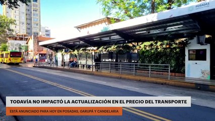 Todavía no impactó la actualización en el precio del transporte