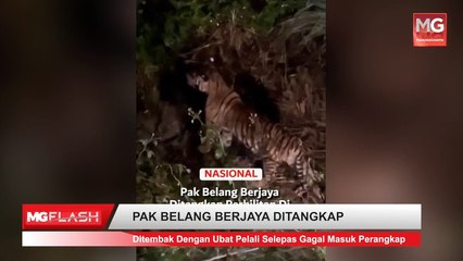 ((LIVE)) Kerajaan Sekat Kapal Dagang Israel Berlabuh Di Negara Ini. Ibu Dan Anak Maut Kemalangan