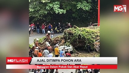 ((LIVE)) Kerajaan Tidak Guna Nama Melayu Untuk Rembat Duit. Tetak Mati Ibu Saudara Kerana Cemburu