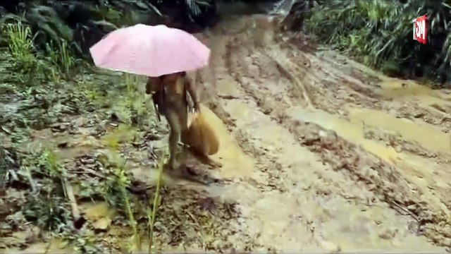 ((LIVE)) Warga Bangladesh Lebih Kuat Bekerja, Bangsa Melayu Bakal Lenyap- Tun M