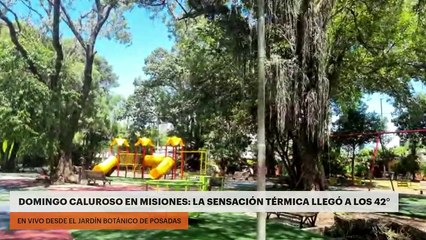 Domingo caluroso en Misiones: la sensación térmica llegó a los 42°
