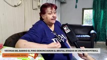 Posadas: Vecinas del barrio El Pino denunciaron el brutal ataque de un perro Pitbull