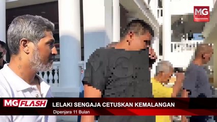 ((LIVE)) Harga Sayur Dijangka Naik 25 Peratus. Polis Trafik 'Pau' Warga Singapura