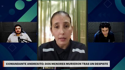Comandante Andresito: dos menores murieron tras un despiste