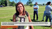 Posadas: Ingenieros forestales hicieron una plantación de lapachos por la paz en la Costanera