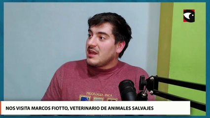 Esto pasa a la tarde: nos visita el veterinario esp. en animales silvestres, Marcos Fiotto