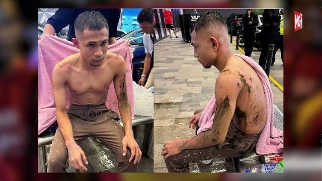 ((LIVE)) Lagi Pokok Tumbang Hempap Kenderaan Di KL. Sagu Ganti Beras, Sarawak Kaji Alternatif Karbo