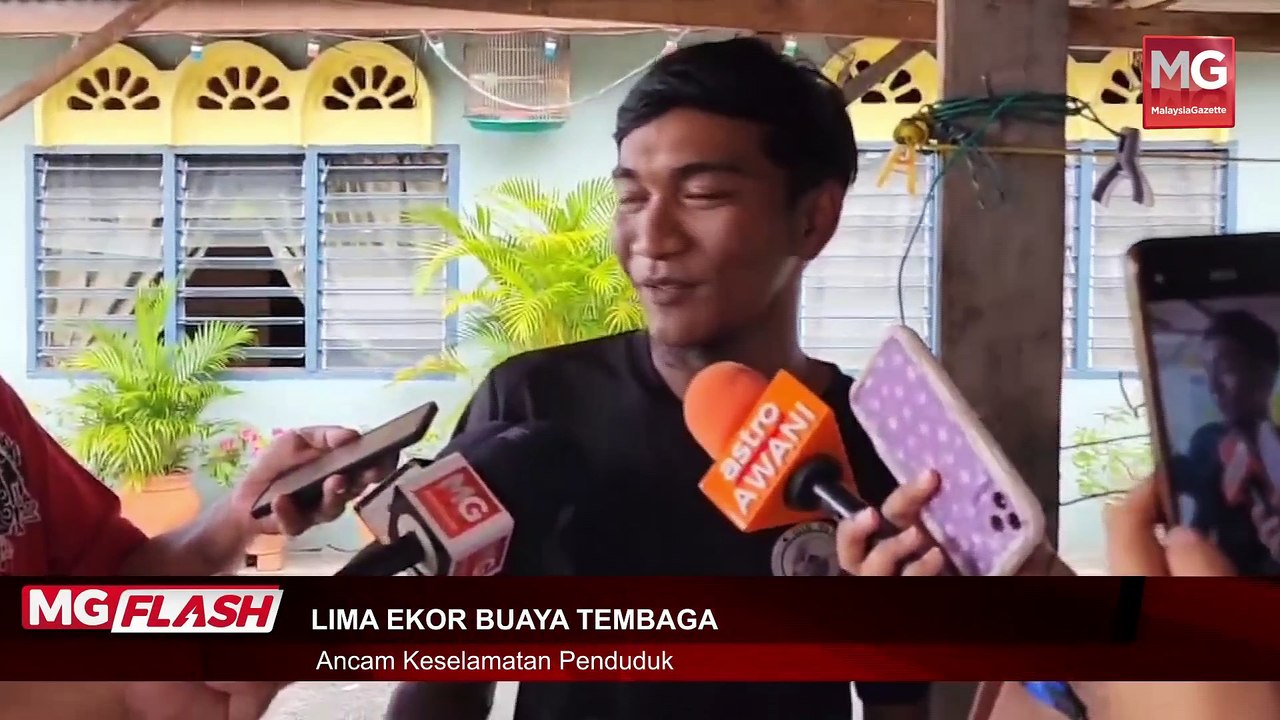 ((LIVE)) Lambat Lagi Bossku Diberi Tahanan Rumah, Kata Yana Najib. Lima Buaya Tembaga Ancam Penduduk Klebang