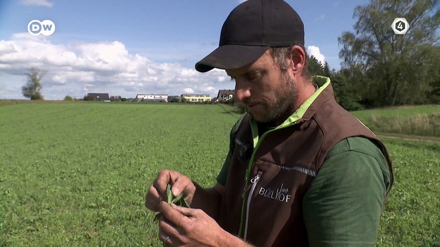Tv4-CadaDía | ¿Está bien correr todos los días? ¿Cuáles son los beneficios?‍♀️ | #LoViEnTv4 #ActitudCadaDía