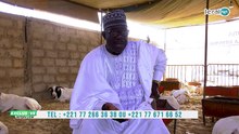 "Xamna Diomaye, dañ ma dieulé fima diayé khar, presse dafa wara fay impôt"  khadim Samb