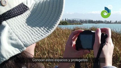 #Tv4Noticias Nocturno ️️ ️ Lunes a viernes a las 20:30 pm  App ·  https://tvcuatro.tv/4-1/ ·  Canal 4.1 #LoViEnTv4 #Tv4Noticias