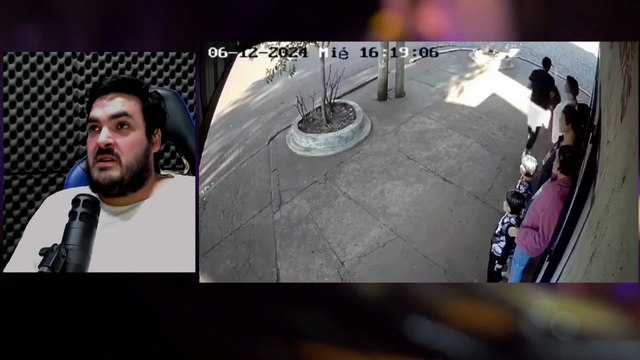 Policiales de Misiones OnLine | ¿Qué hacer ante la presencia de animales peligrosos en Misiones?