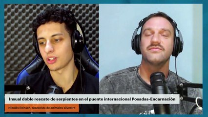 Insual doble rescate de serpientes en el puente internacional Posadas-Encarnación