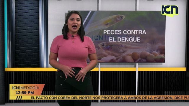 ICN | Mediodía ☀️ | 19 de Junio | Noticias Honduras EN VIVO