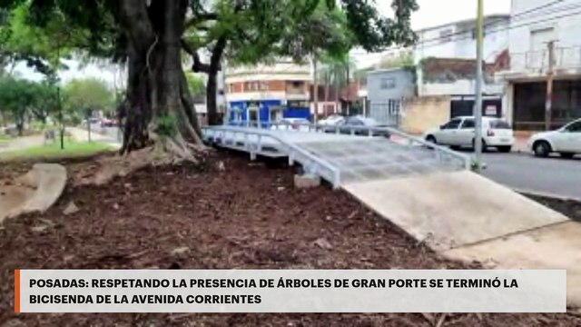 Posadas | Respetando la presencia de árboles de gran porte se terminó la bicisenda de la avenida Corrientes
