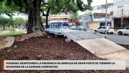 Posadas | Respetando la presencia de árboles de gran porte se terminó la bicisenda de la avenida Corrientes
