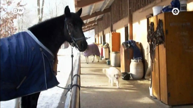 Tv4-CadaDía | te has preguntado ¿Qué es el dolor de ciática y cómo tratarlo?, El Ortopedista Francisco Cabrales nos dice cómo | #LoViEnTv4 #Cuidate #Salud | 04/07/24