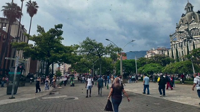 Tv4-CadaDía | La inteligencia artificial tiene interesantes contribuciones en el ámbito educativo, tales como: ¡No te lo pierdas! | #LoViEnTv4 | 29/07/24