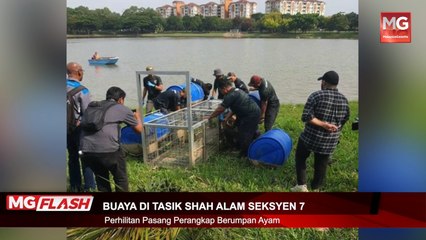 ((LIVE)) Perkeso Diarah Rombak Semula SOP . Dapur Berpusat Dolly Dim Sum Ada Sijil Halal