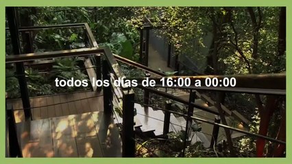 Tres Miradas: un encuentro con Graciela De Moura
