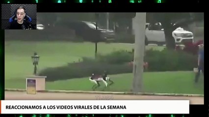 Repasamos el contenido viral de la semana en El Admin