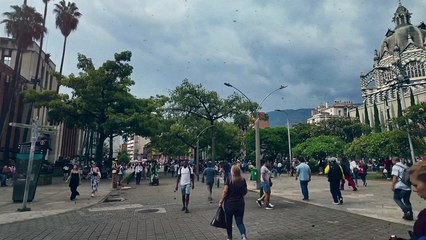 Tv4-CadaDía | Educando a las nuevas generaciones | #LoViEnTv4 | 27/11/24
