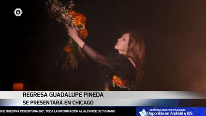 #Tv4Noticias Nocturno 🗞️🎙️ 🗓️ Lunes a viernes a las 20:30 pm 📱 App · 💻 https://tvcuatro.tv/4-1/ · 📺 Canal 4.1 #LoViEnTv4 #Tv4Noticias