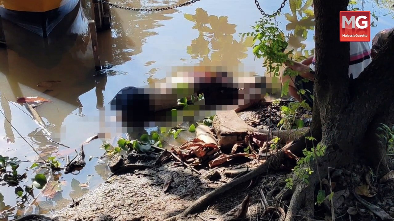 ((LIVE)) Haiwan Liar Bunuh 4 Kucing Di UM, Guan Eng Dakwa Pas Buli Menteri DAP