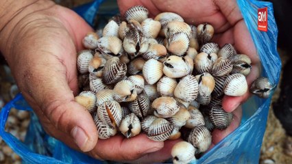 ((LIVE)) Gencatan Senjata Di Gaza Bermula, Ku Li Mahu PM Bertanggungjawab