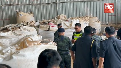 ((LIVE)) Tol Percuma Bukan Untuk Maha Kaya, Denda Kerana Hina Agong
