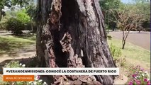 #VeranoenMisiones: conocé la Costanera de Puerto Rico