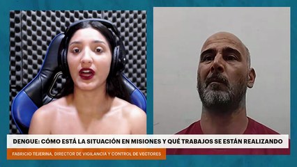 Dengue: cómo está la situación en Misiones y qué trabajos se están realizando