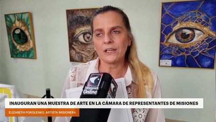 Inauguran una nueva muestra de arte en la Cámara de Representantes de Misiones