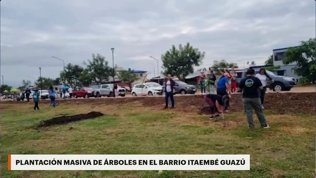 Plantación masiva de árboles en el barrio Itaembé Guazú