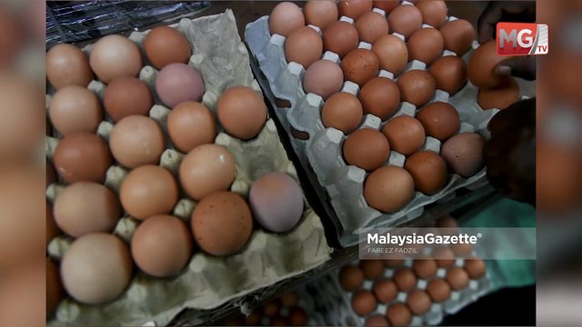 ((LIVE)) Ismail Sabri Kembali Semula Ke SPRM Esok . ‘Apek’ Didakwa Bunuh Rakan