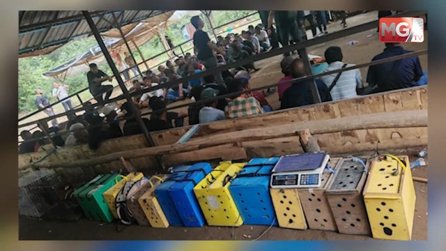 ((LIVE)) Ramasamy Mengaku Tidak Bersalah . Pelajar Bangladesh Jadi Prebet Sapu Ditahan