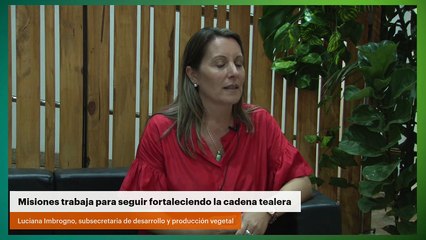Misiones trabaja para seguir fortaleciendo la cadena tealera