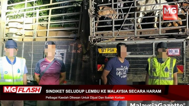 ((LIVE)) Gelombang Baharu Tengku Zafrul Gadai Prinsip Demi Kuasa, Penganjur LGBT Disiasat