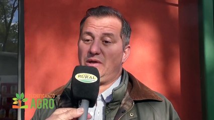 Tecnificando el Agro | La genética bovina de Misiones mostró su potencial en la Expo Rural