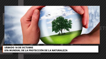 Día Siete: El repaso de los temas más importantes de la semana