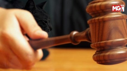 (LIVE) Anwar Tolak Syor Rafizi Pecat SU Politik Kanan * Tiada Usaha Tutup Skandal FAM - PM