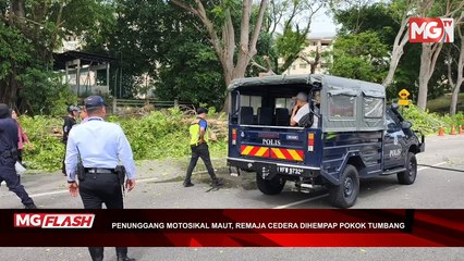 ((LIVE)) Lelaki Maut Dihempap Pokok Tumbang • Budak Naik Basikal Lajak Gaya Superman Tular #mgflash