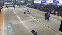 Championnats d'Europe Senior Masculin