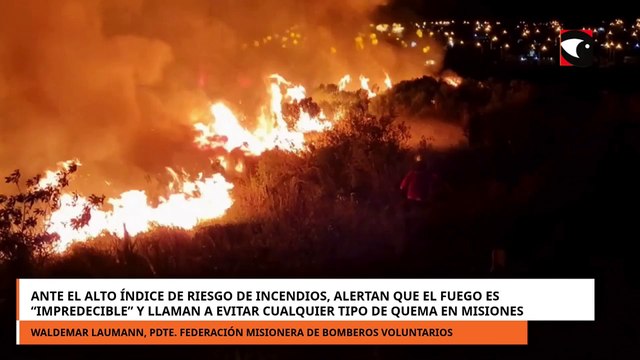 Arriba Misiones: Entrevistas exclusivas y toda la actualidad de Posadas y el interior