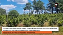 EN VIVO: Arriba Misiones. Toda la actualidad de Posadas y el interior en tiempo real