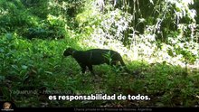 Arriba Misiones: Debate y opinión sobre los temas que impactan