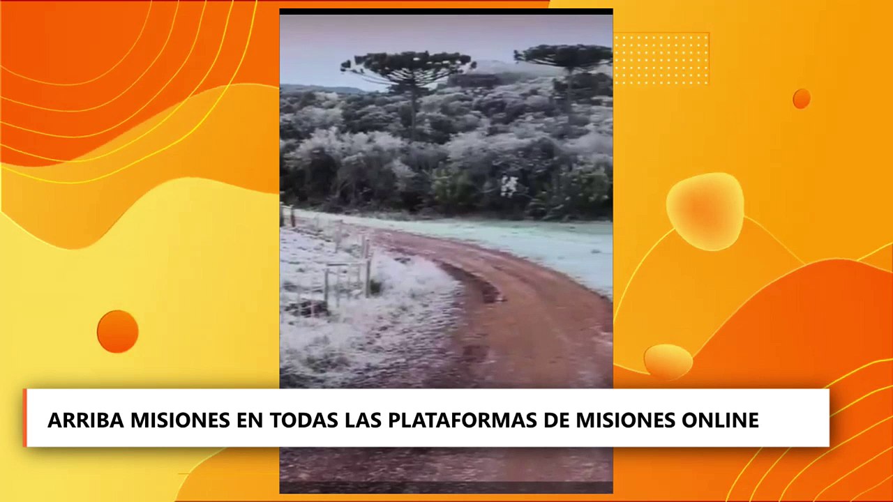 Arriba Misiones | Información, cultura y comunidad